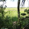 orlando.llanos.co4
