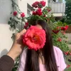 ranim_539