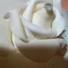 mimi.ijja711316
