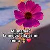 scarlethflores368