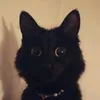 whatthebeepintheberrygas