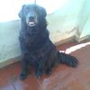roca2819