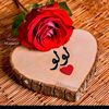 user393935617129