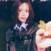 wayne_29120