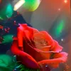 faisalhussain7868