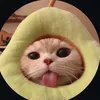 minh.h1007