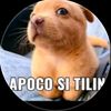 abraham.olivero