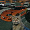 el.gato.013