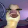 nhoyeueem