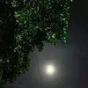 wowowiwow23