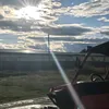 while_died