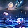 nyi.mg.myint4