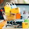 onlineshoppingstore921
