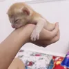 Hìn & Trứng