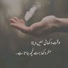 shahzaib.kha54