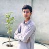 peshawar_king787