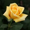 quc.bo0839