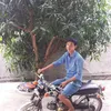 trn.t3287