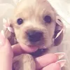 miokml