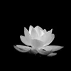 minhphanng3