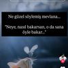 nerminmelek10