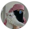 habeeb.ullah.mala