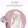 mianadeelahmad
