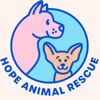 poor Animals
