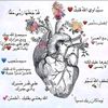 user19031577380517