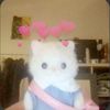dump4fa