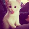 _sweetcookieess
