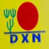 dxn85_