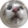 thzinnn_hg