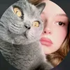 lilt_377