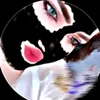 313._vro1