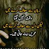 dilawerhussan.dil2