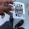 theonlyeluisve