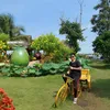 .vn805