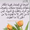 user74759952245843