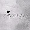 user8517204337617