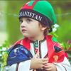 amirmohamad.wapha