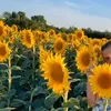 milica_caran_