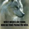 simkovichans