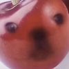 charls151009