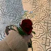 queenmyself81