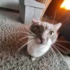 luziiiii_11