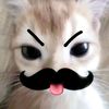 bbearthyv_llove