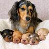 ruthann_rabe06