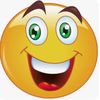 Funny Videos