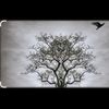 asmin_2173